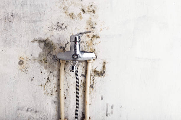 Water Damage Restoration in Thompson Falls, MT